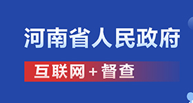互联网+督查